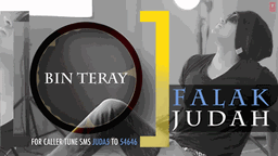 Bin Tere Jee Raha Lyrics - Falak Shabir