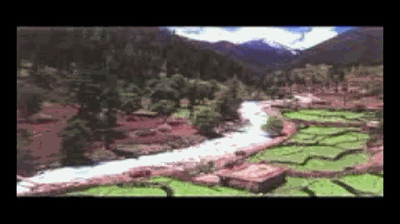 Dharti Hamari 