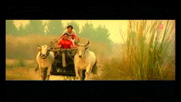 Dhol Wajda 