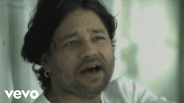 Dilruba 