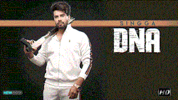 Dna Lyrics - Singga