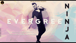 Evergreen Lyrics - Ninja