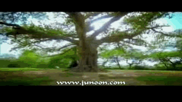 Ghoom Taana 