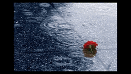 Gum Sum Ho Kyun Lyrics - Shaan
