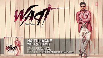 Na Tu Jaane 