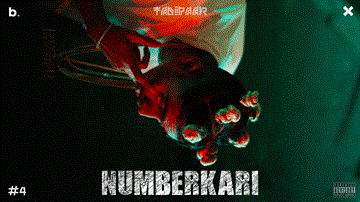 Numberkari 
