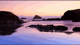 Pagalpan Lyrics - Shafqat Amanat Ali