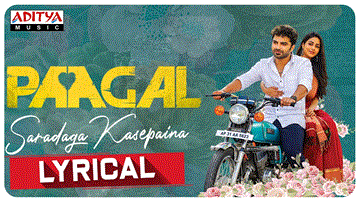 Saradaga Kasepaina 