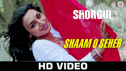 Shaam O Seher Lyrics - Vishal Mishra