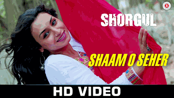 Shaam O Seher 