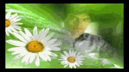 Sharaab Pee Pee Kar Lyrics - Kumar Sanu