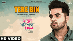 Tere Bin Lyrics - Ninja | Punjabi Song