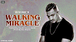 Walking Miracle Lyrics - Divine | Nas