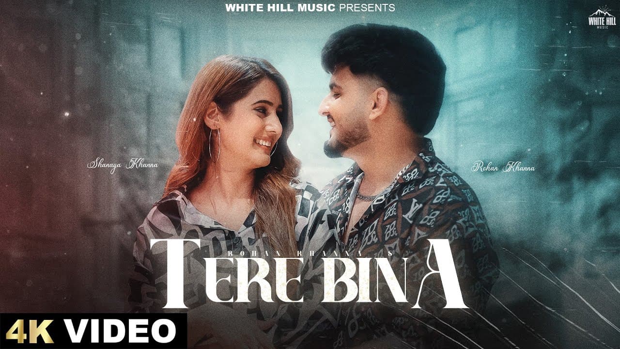 Tere Bina Lyrics - Rohan Khanna | Punjabi Song by White Hill Music