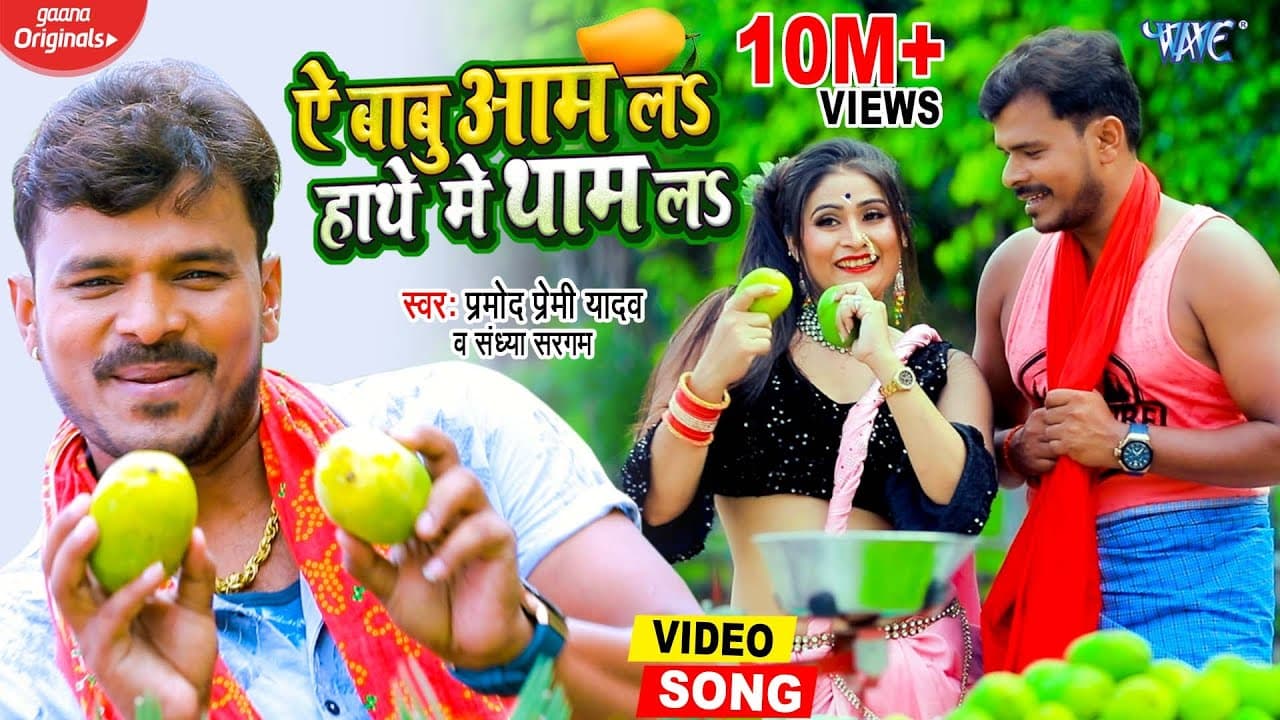Ae Babu Aam La Hathe Me Tham La Lyrics - Pramod Premi Yadav | Sandhya Sargam by 